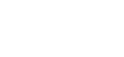 Aaron Carter: The Little Prince of Pop