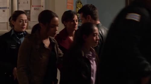 Chicago P.D. Distrito 21: 1×2