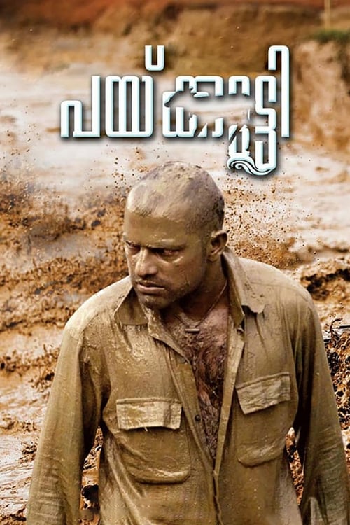 പയ്ക്കുട്ടി (2018) poster