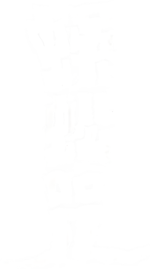 蜈蚣咒