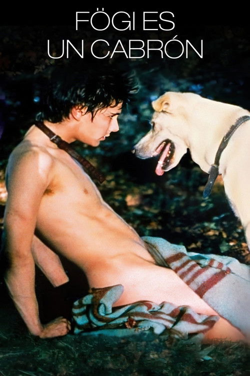 Fögi Is a Bastard poster