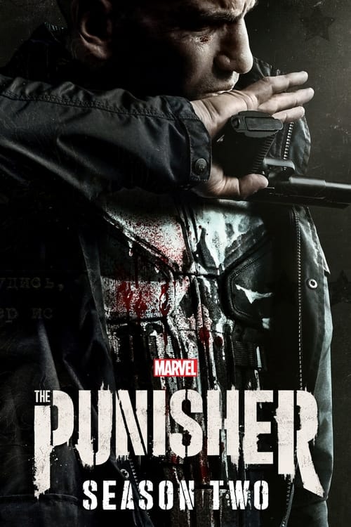 Where to stream Marvel's The Punisher Season 2