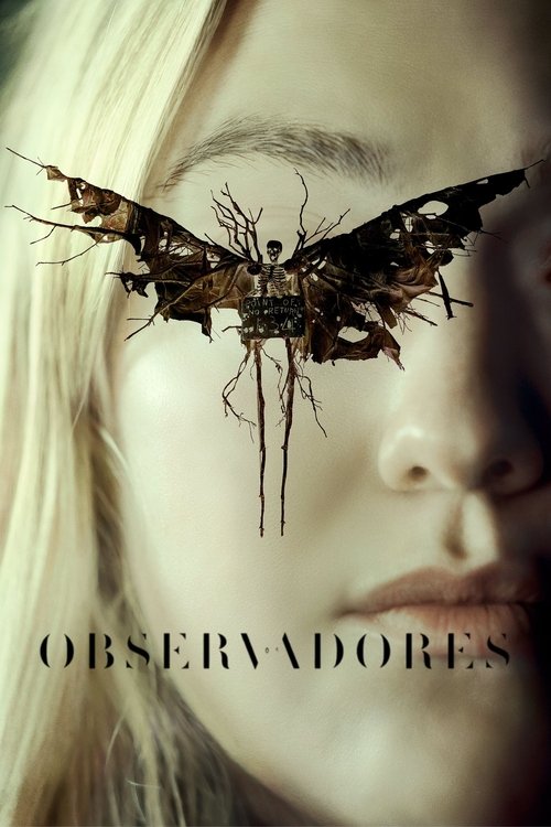 Pôster de Os Observadores