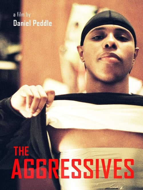 The Aggressives poster