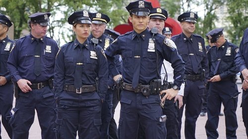 Blue Bloods – Sangue Azul: 6×6