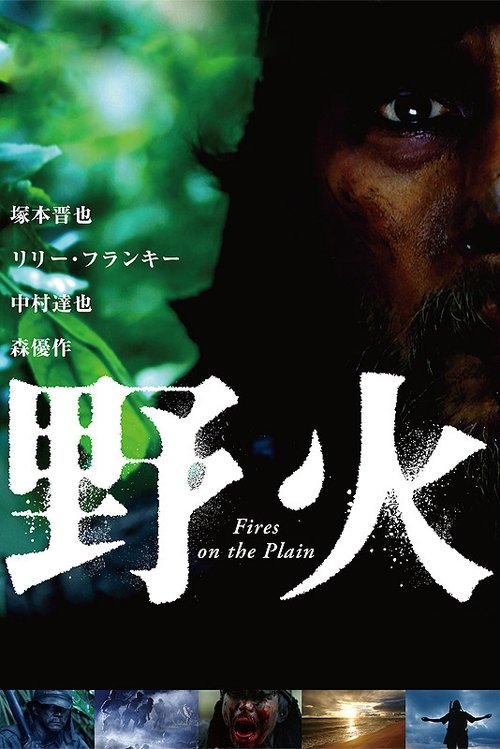 野火 (2015) poster