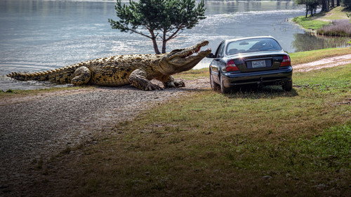 Lake Placid 3