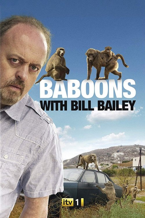 Poster Baboons with Bill Bailey