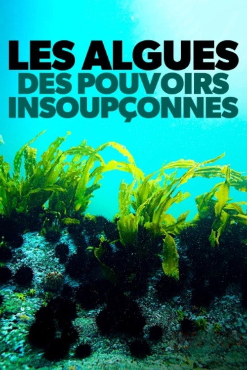 Poster for Les algues : Des pouvoirs insoupçonnés