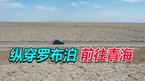 Episode 186