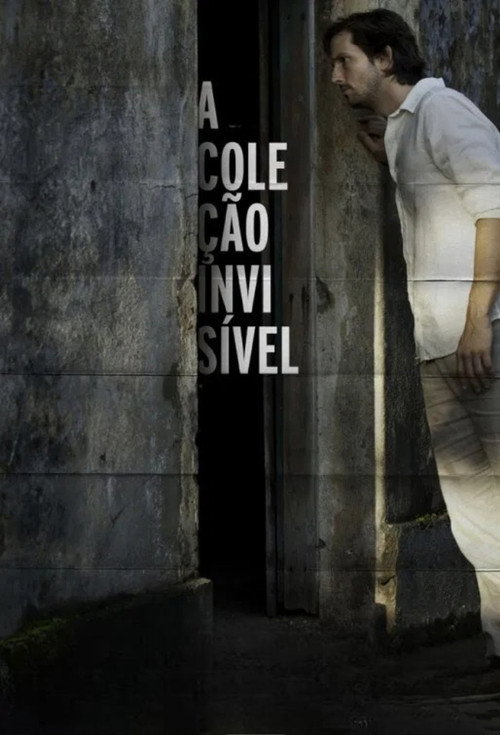 The Invisible Collection poster