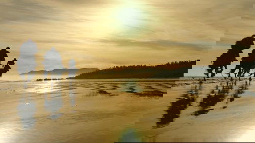 Backdrops