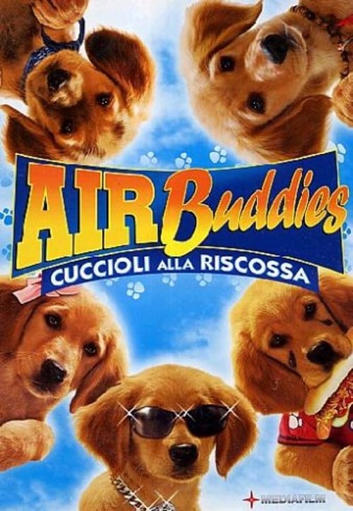 Air Buddies poster