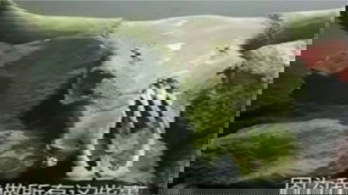 Image de l'épisode 12