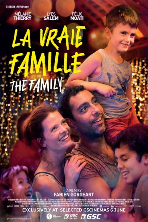 La Vraie Famille poster