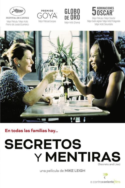 Secrets & Lies poster