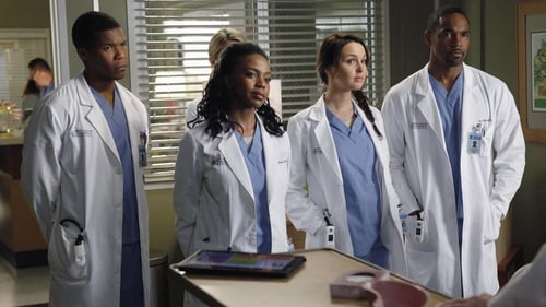 Grey's Anatomy - Season 10 - Episode 20: Go It Alone