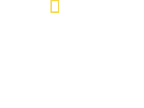 Tucci in Italy