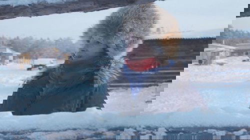Your Image