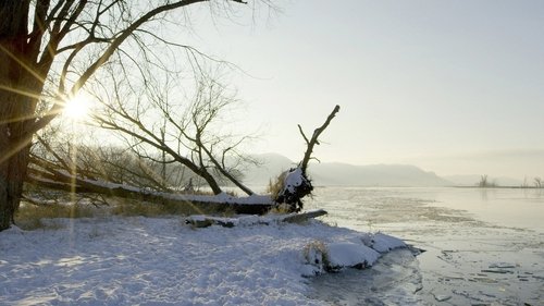 Image de l'épisode 2