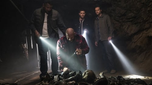 Supernatural: 11×19