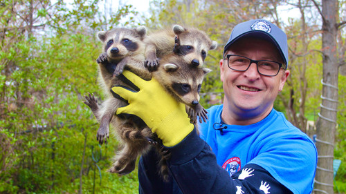 Louis and the Urban Jungle — still 4