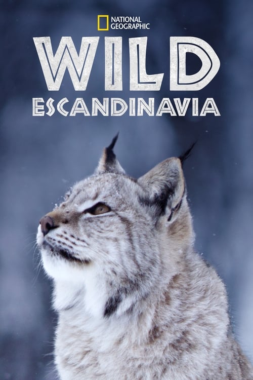 Wild Escandinavia