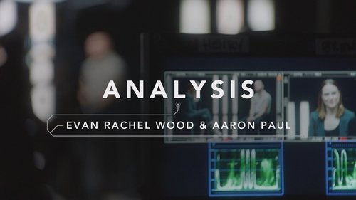 Analysis: Rachel Wood & Aaron Paul