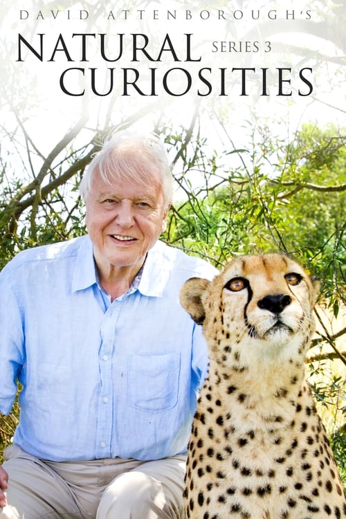 Where to stream David Attenborough's Natural Curiosities Season 3