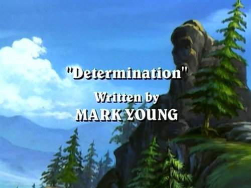 Determination