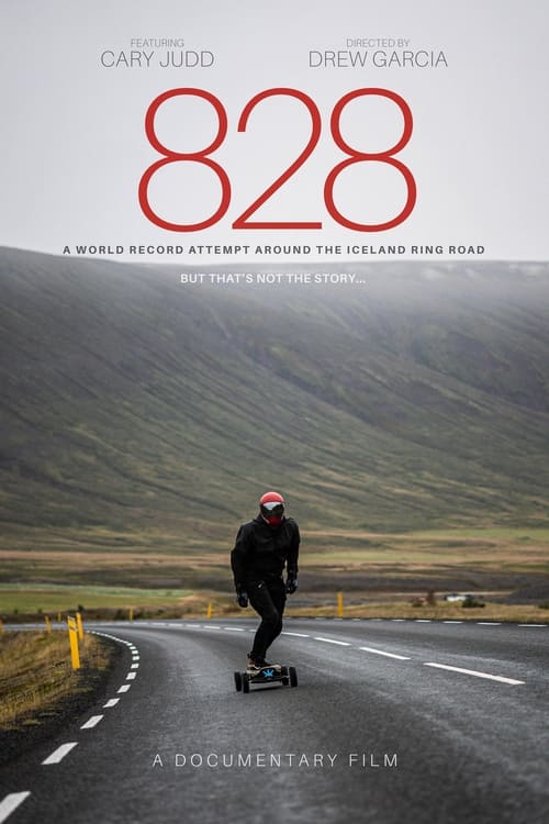 828 poster