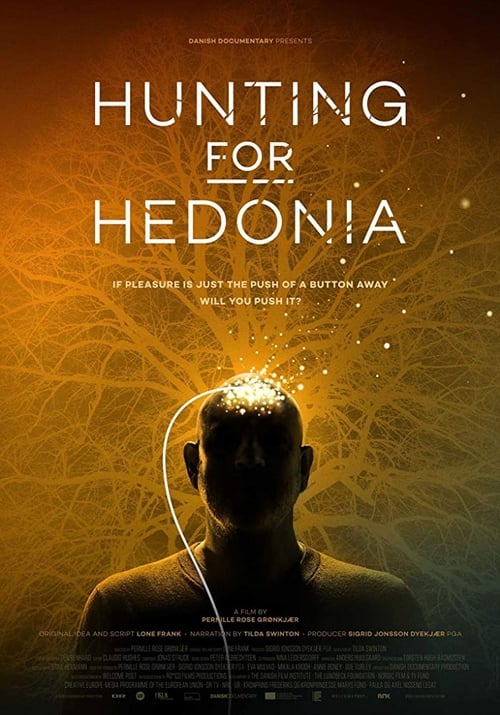 Hunting for Hedonia poster