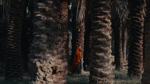 Ancient Land still