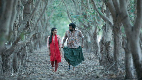 Sleepless City Blues