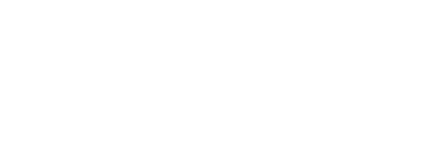 Cámara Policial