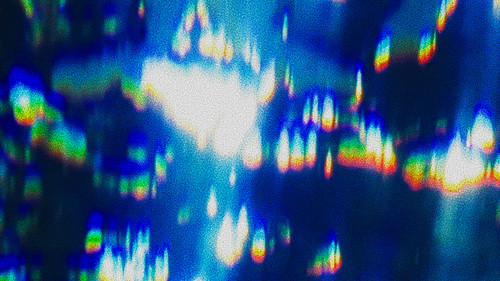 I Will Be A Fish For One Day