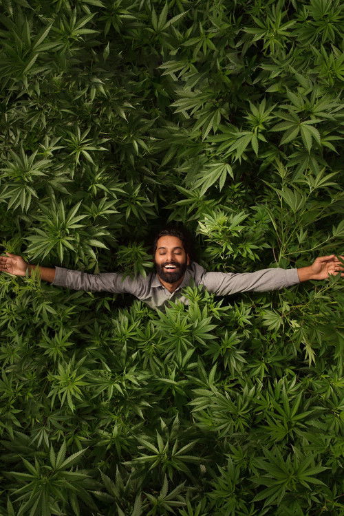 Escena 6 de Weediquette