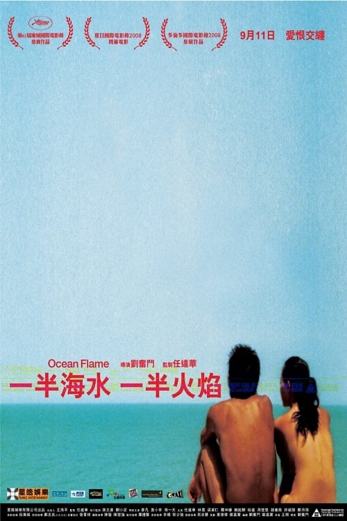 一半海水一半火焰 (2008) poster