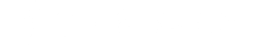 Chronicle of Life