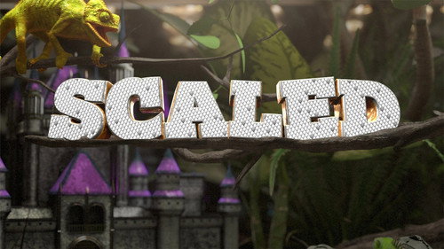 Scaled still