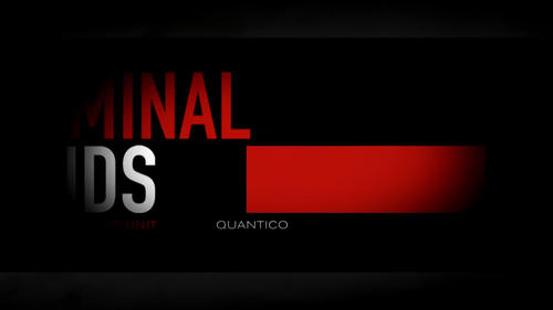 Poster della serie Criminal Minds