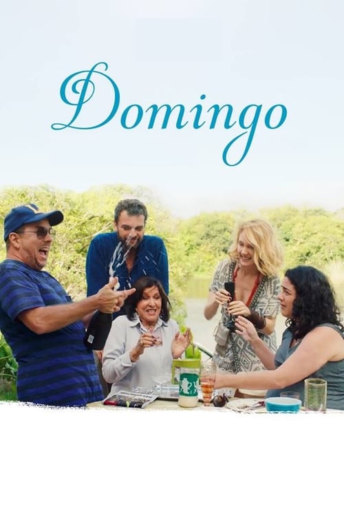 Domingo (2018) poster