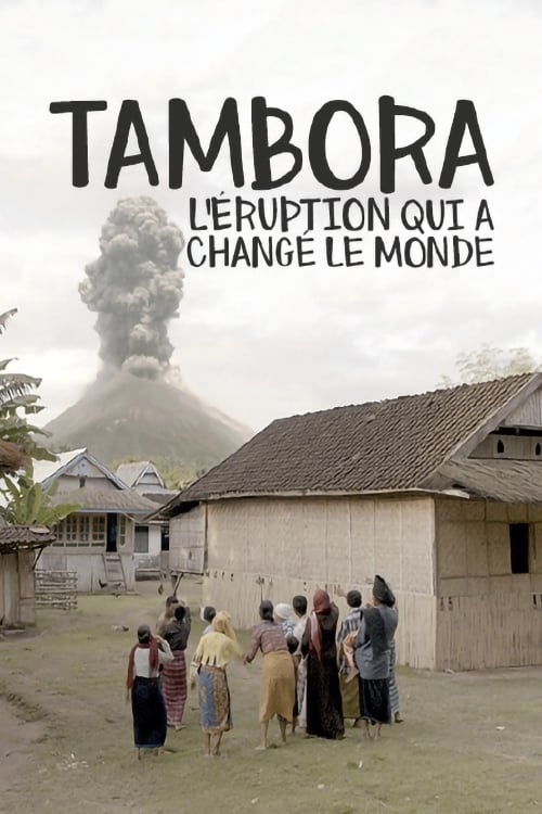 Poster Der Vulkan, der die Welt veränderte 2017