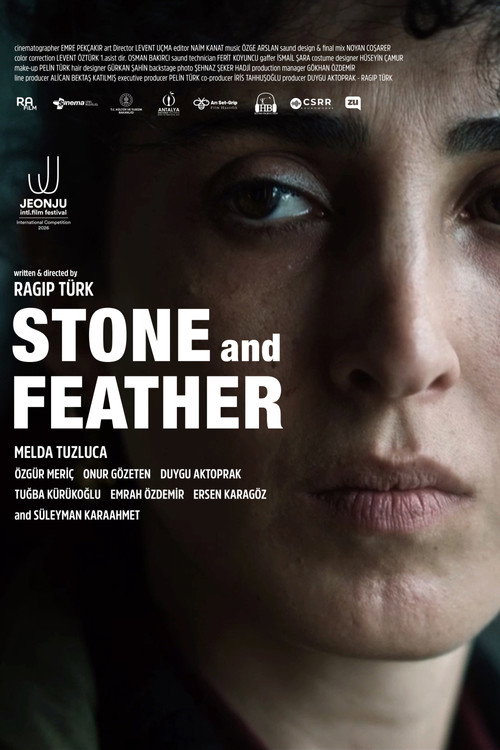Stone and Feather poster