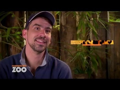 Une saison au zoo, S05E33 - (2016)