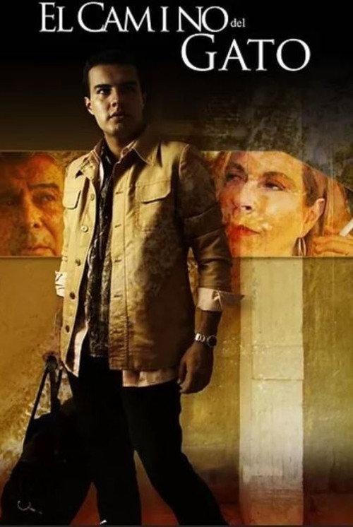 El camino del gato