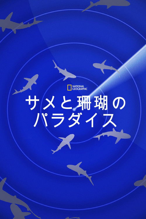 Journey to Shark Eden poster