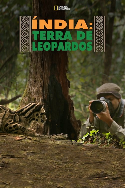 Pôster de Índia: Terra de Leopardos