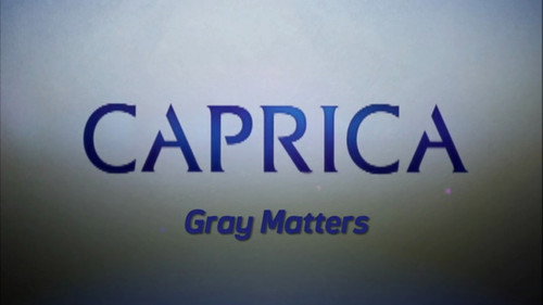 Video Blogs: Gray Matters