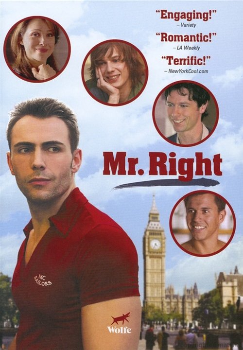 Mr. Right movie poster player